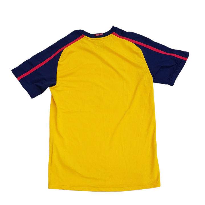 Back of 2008/09 Arsenal Away Shirt 