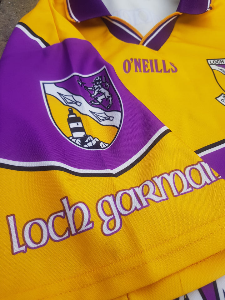 Sleeve of 2001/02 Wexford GAA Jersey