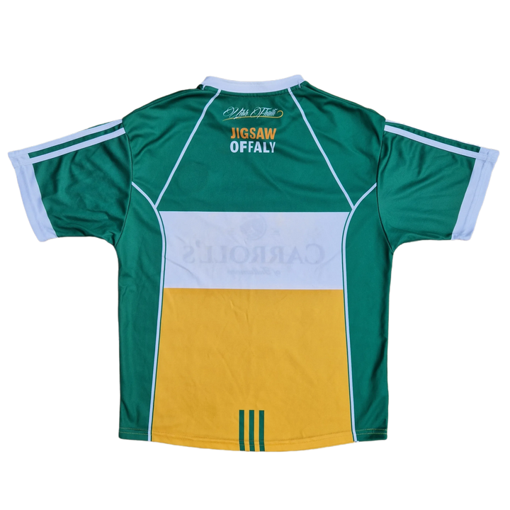 Back of 2016 Offaly Jersey 