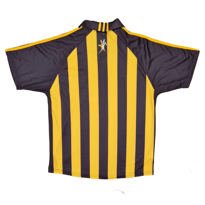 Back of 2011 Kilkenny GAA Jersey