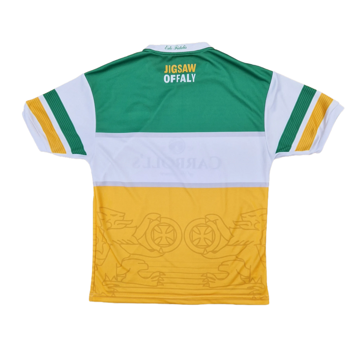 Back of 2021  Offaly GAA Jersey 