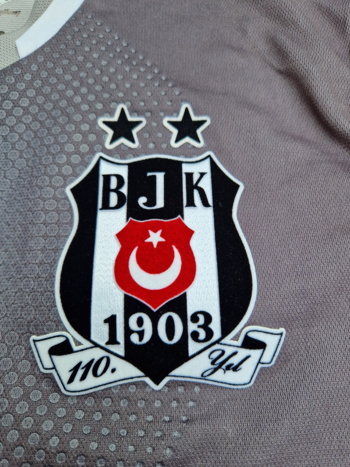 Crest on 2013/14 Besiktas Third Shirt