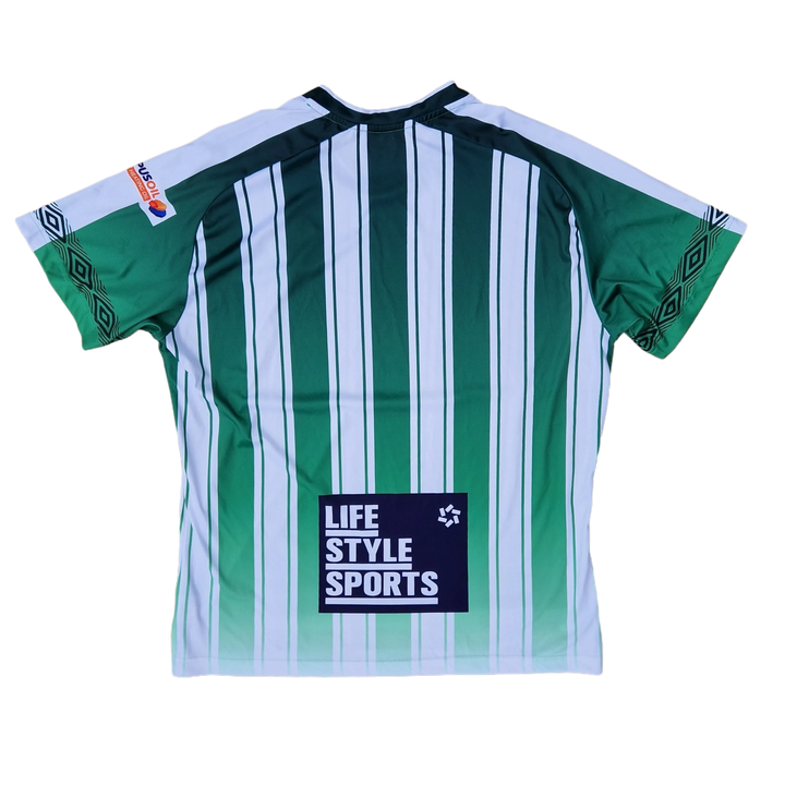 Back of 2023 Bray Wanderers home shirt