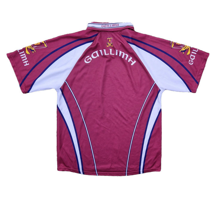 Back of 2014 Galway Hurling Jersey 