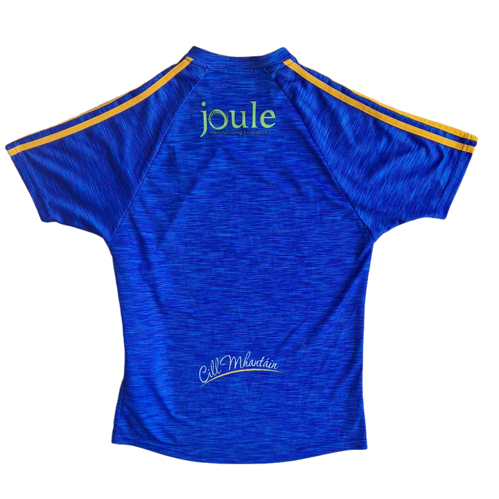 Back of 2018 Wicklow Jersey