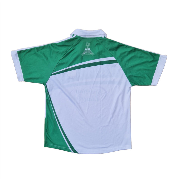 Rear of 2014 Limerick jersey