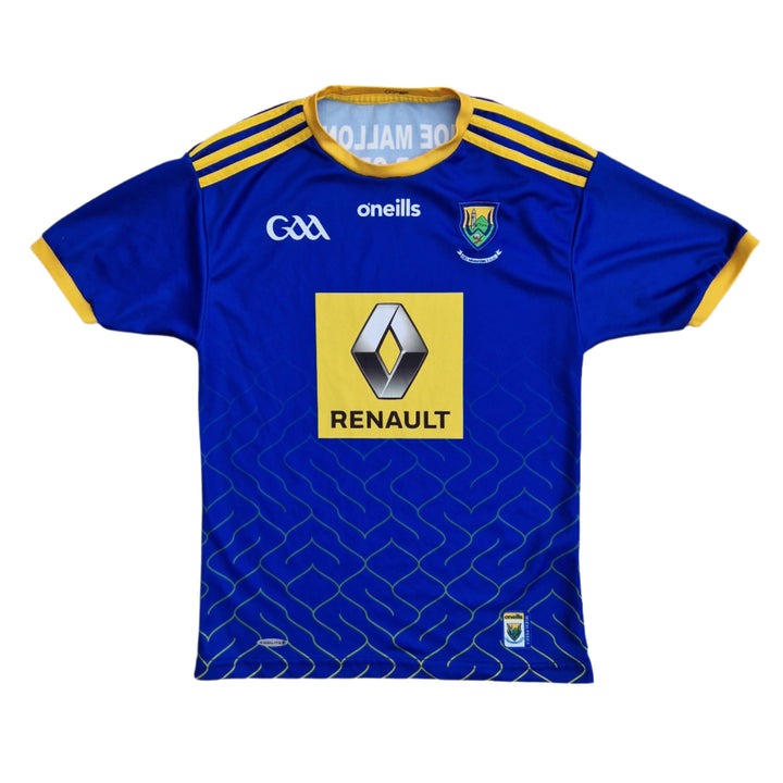 Front of 2019 2020 Wicklow GAA Jersey